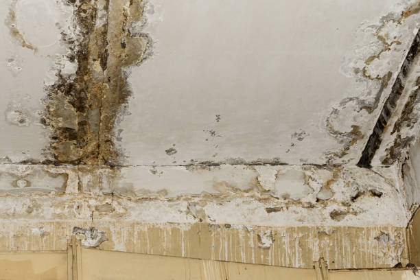 Best Industrial Mold Remediation  in Sunriver, OR